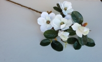 Kunsttak magnolia