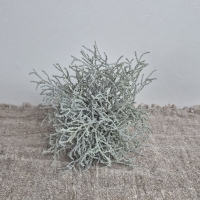 Kunst zilverstruik