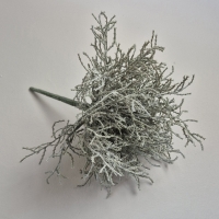 Kunst zilverstruik