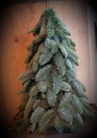 Nobilis kerstboompje 40cm