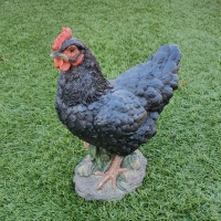 Deco kip staand zwart