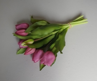 Kunst tulp roze