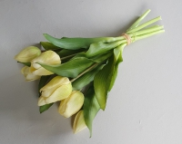 Kunst tulpen zacht geel