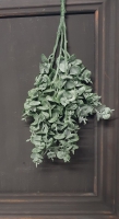 Kunst eucalypthus bos