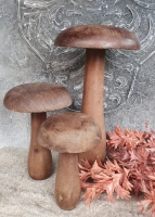 Deco paddenstoel l