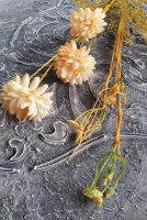 Kunst veldboeket chrysant