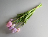 Kunst tulp lila roze