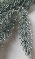 Kunst guirlande nobilis