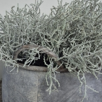 Zinken pot