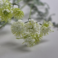 Kunst achillea wit