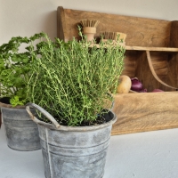 Zinken plantenpot