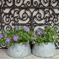 Metalen pot met hengsel