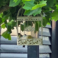 Decoratie vogelkooi
