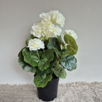 Kunst geranium plant
