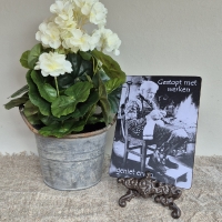 Kunst geranium plant