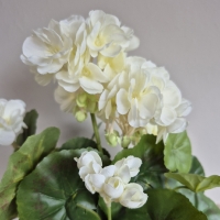 Kunst geranium plant