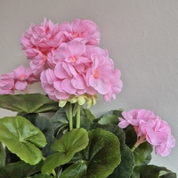 Kunst geranium plant in pot