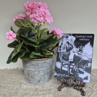 Kunst geranium plant in pot