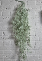 Kunsttak asparagus
