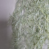 Kunsttak asparagus