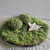 Kunst mos mat rond
