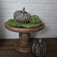 Kunst mos bol set van 3