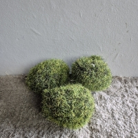 Kunst mos bol set van 3