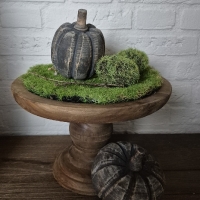 Kunst mos bol set van 3