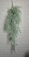 Kunsttak asparagus L
