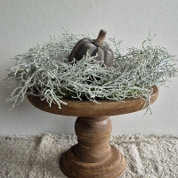 Kunst hangplant zilverstruik