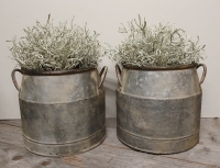 Kunst zilverstruik groot