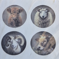 Landelijke set onderzetters a