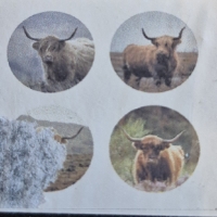 Landelijke set onderzetters b