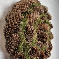 Moskrans met dennenappels 40cm