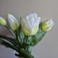 Real touch tulpen wit