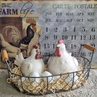 Mand kippengaas vaste handvatten