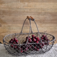 Kippengaas mand large