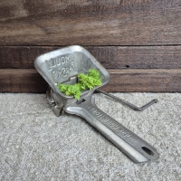 Oud peterseliemolentje