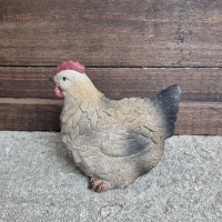 Decoratie kip landelijk