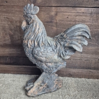 Beeld haan landelijk