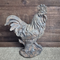 Beeld haan landelijk