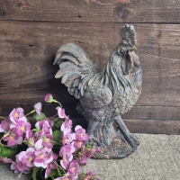 Beeld haan landelijk