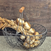 Eiermandje kippengaas