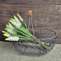 Eiermandje kippengaas