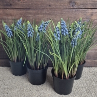 Kunst blauwe druifjes in pot