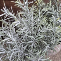 Kunst lavendel plant in pot