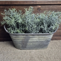 Kunst lavendel plant in pot