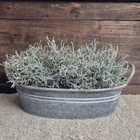 Plantenbak zink langwerpig