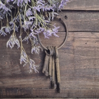 Gietijzeren sleutelbos