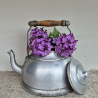 Oude waterketel